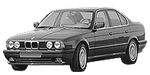 BMW E34 B3110 Fault Code